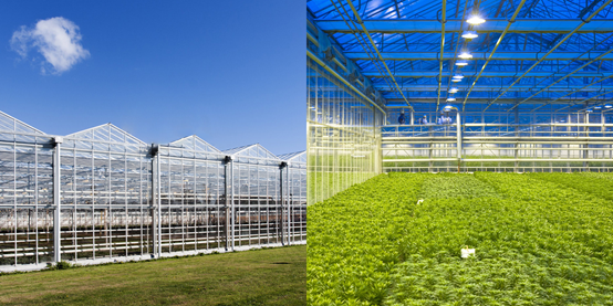 玻璃溫室大棚監(jiān)控系統(tǒng) 玻璃溫室大棚監(jiān)控系統(tǒng)