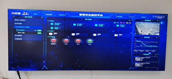 玻璃溫室大棚監(jiān)控系統(tǒng)監(jiān)控平臺 玻璃溫室大棚監(jiān)控系統(tǒng)監(jiān)控平臺
