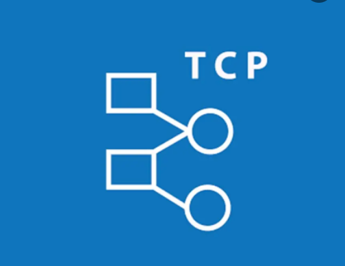 TCP 管理數(shù)據(jù)流 TCP 管理數(shù)據(jù)流