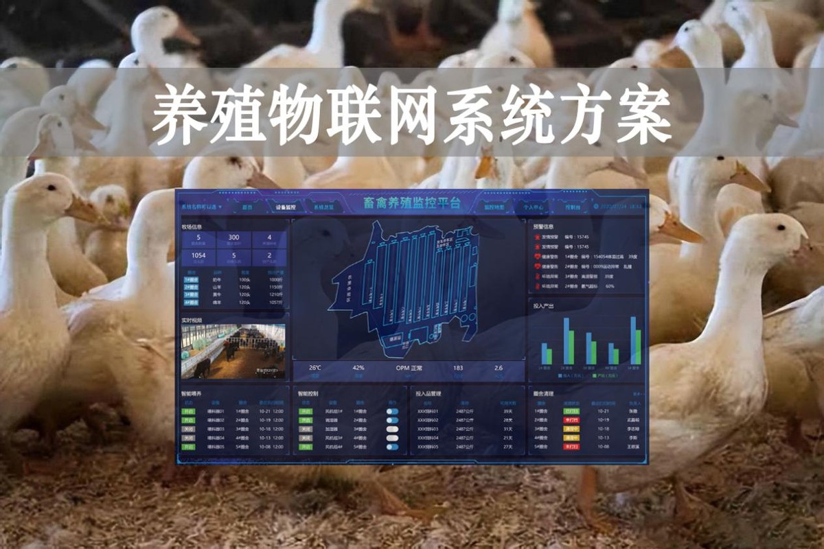 【智慧養(yǎng)殖】數(shù)字經(jīng)濟(jì)時(shí)代到來，養(yǎng)殖物聯(lián)網(wǎng)系統(tǒng)方案來了