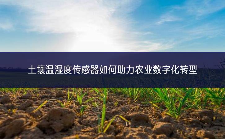土壤溫濕度傳感器如何助力農(nóng)業(yè)數(shù)字化轉(zhuǎn)型 土壤溫濕度傳感器如何助力農(nóng)業(yè)數(shù)字化轉(zhuǎn)型