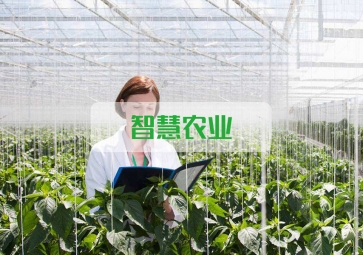 春雷一聲 驚蟄到，聚英智慧農(nóng)業(yè)系統(tǒng)助力農(nóng)業(yè)春耕