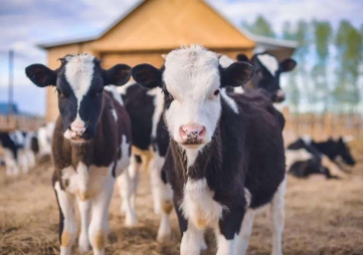 北京啟用畜牧業(yè)用水遠(yuǎn)程在線監(jiān)測(cè)系統(tǒng) 北京啟用畜牧業(yè)用水遠(yuǎn)程在線監(jiān)測(cè)系統(tǒng)