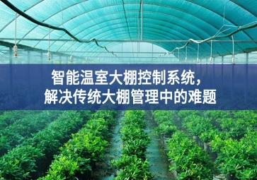 「智慧農(nóng)業(yè)」智能溫室大棚控制系統(tǒng)，解決傳統(tǒng)大棚管理中的難題