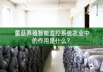 「智慧養(yǎng)殖」菌菇養(yǎng)殖智能監(jiān)控系統(tǒng)在農業(yè)中的作用是什么？