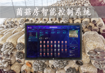 「智慧養(yǎng)殖」菌菇房智能控制系統(tǒng)，智能控溫，助力大棚食用菌種植