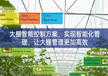「智慧農業(yè)」大棚智能控制方案,實現智能化管理，讓大棚管理更加高效 
