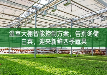 「智慧農(nóng)業(yè)」溫室大棚智能控制方案，告別冬儲(chǔ)白菜，迎來新鮮四季蔬果