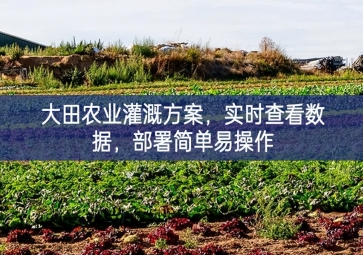 「智慧農(nóng)業(yè)」大田農(nóng)業(yè)灌溉方案，實(shí)時(shí)查看數(shù)據(jù)，部署簡(jiǎn)單易操作